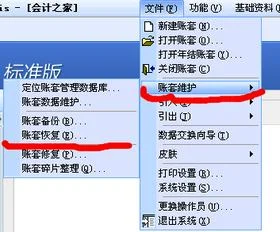 金蝶标准版账套转化专业版