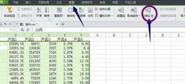 wps使用分类汇总 | 使用wps表格中