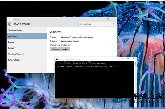 Win10系统使用密钥无法激活问题的解决办法