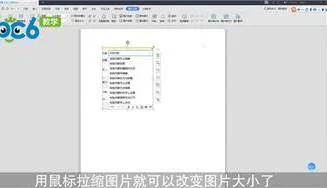 wps改屏幕大小 | WPS不能把窗口变大变小了