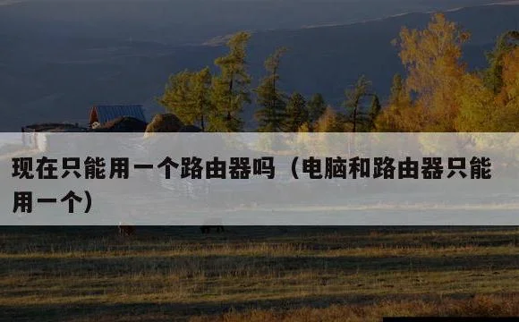 电脑和路由器只能用一个 | 现在只