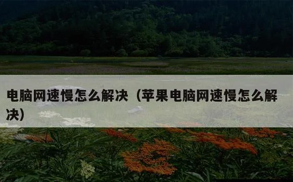 苹果电脑网速慢怎么解决 | 电脑网