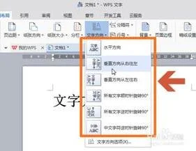 替换wps中的问号 | WPS表格里的蓝