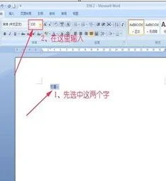 让wps上的字变得特别大 | 在WPS文