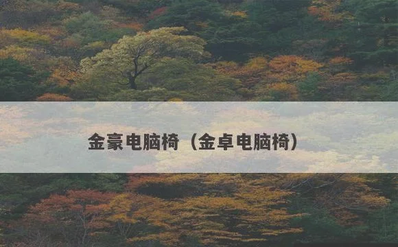 金豪电脑椅(金卓电脑椅)