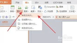 用wps插入相片平行 | wps能够一次