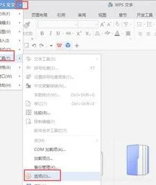 wps不在一个文件 | 样在wps中打开w