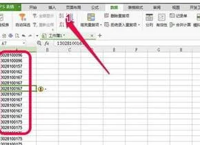 显示wps重复姓名 | wps表格筛选出