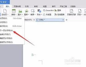 在wps中设置某页为横向 | wps中某