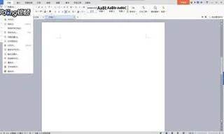wps页面变竖的横的 | 调节wpsoffic