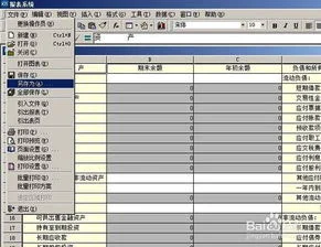 金蝶软件启用后财务报表如何使用 | 如何在金蝶财务软件中设置报表?