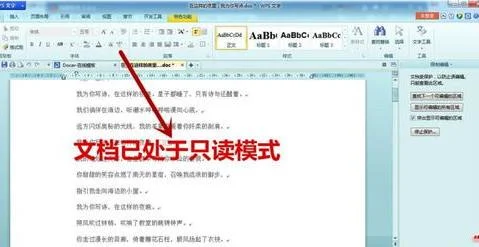 如何设置wps文档只读