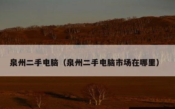 泉州二手电脑市场在哪里 | 泉州二手电脑
