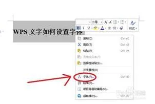 wps文档中设置字体 | wps的字体在