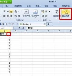 wps选中筛选的内容 | wps表格筛选