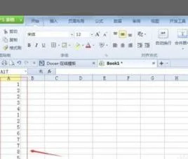 wps表格中查询重复 | wps表格筛选