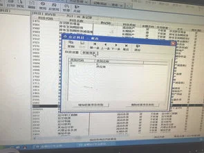 金蝶里应付账款单位增加 | 请教金