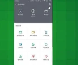 苹果wps会员取消自动扣费 | wps会员自动续费取消