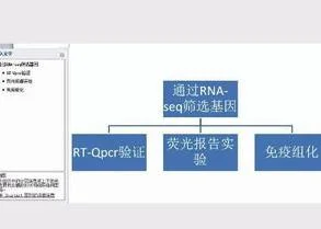 wps画传动路线 | wps技术路线图画