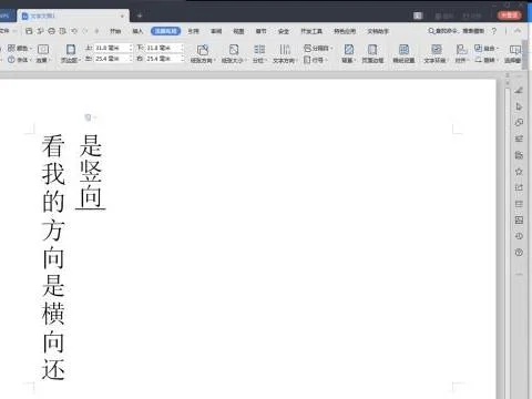 wps将文字竖排居中 | WPSoffice的w