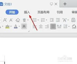 wps插入长线 | wps插入长线