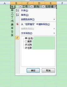 wps如何下拉列表显示
