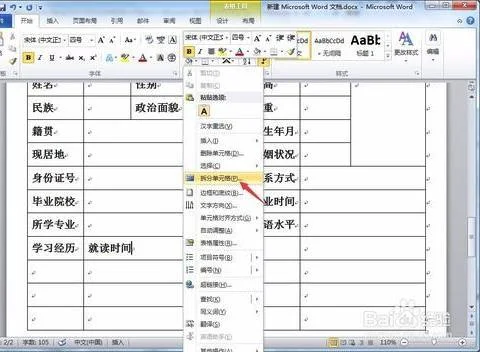 编辑wps中简历模版 | wps弄个人简历