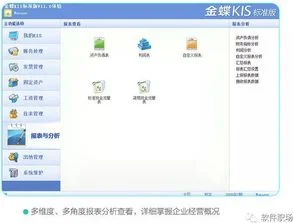 标准版,导出,金蝶,分类