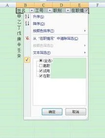 wps下拉列表显示 | 在WPS的文档里