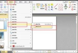 wps版pdf删除空白页面 | 删除PDF中