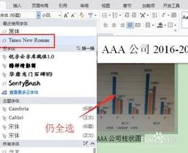 wps使用新罗马字体 | word中新罗马