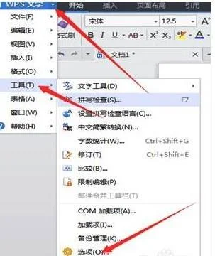 在WPS设置签名 | wps文字做设置签