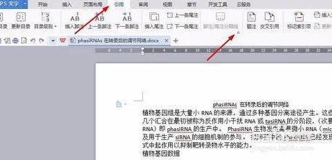 wps在word插入参考文献尾注 | 论文
