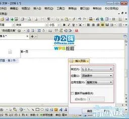 wps文本设置页数 | WPS文字中设置