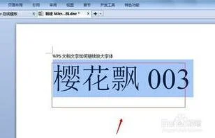 wps打印字体放大 | WPS表格打印把