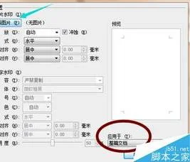 在wps中添加双水印 | WPS文字中加