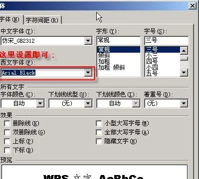 将wps里的数字和字母变换字体 | 让wps文字里的字母数字自动变字体