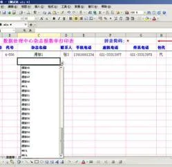 wps在excel表格中显示公式 | 在wps
