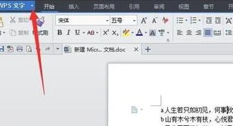 wps调整字体比初号大 | 打出比初号字体更大的字体word
