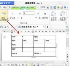 wps使用邮件合并功能打印唛头 | wp