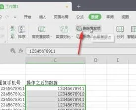 wps中删除相同项只保留一个 | WPS