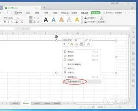 wpsppt如何插入xls的数据