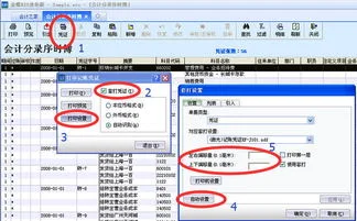 凭证,金蝶,尺寸,设置