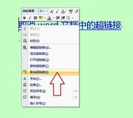 将wps文件名复制 | wps中复制文件保留原有格式