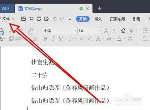 设置wps2019多个标签 | 把wps2019