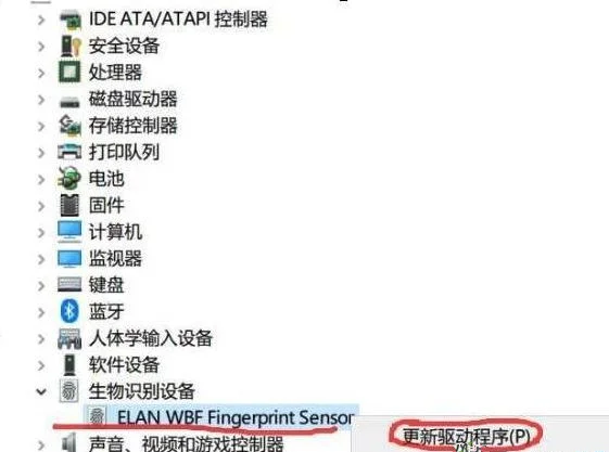 win10指纹设置不了 | win10专业版