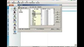 专业版,金蝶,设置,软件