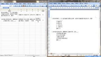 wps的excel双色排版 | WPS文字编辑表格时,单元格用双色线框
