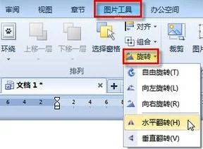wps镜像复制图形 | 在WPS中复制流