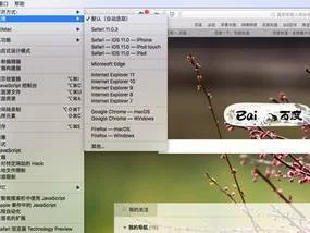 苹果电脑wps兼容性设置在哪里 | WPS的兼容模式更改